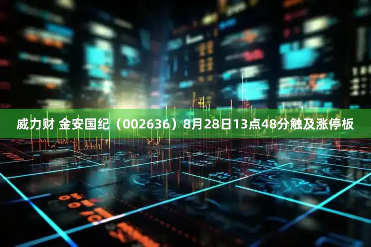 威力财 金安国纪（002636）8月28日13点48分触及涨停板