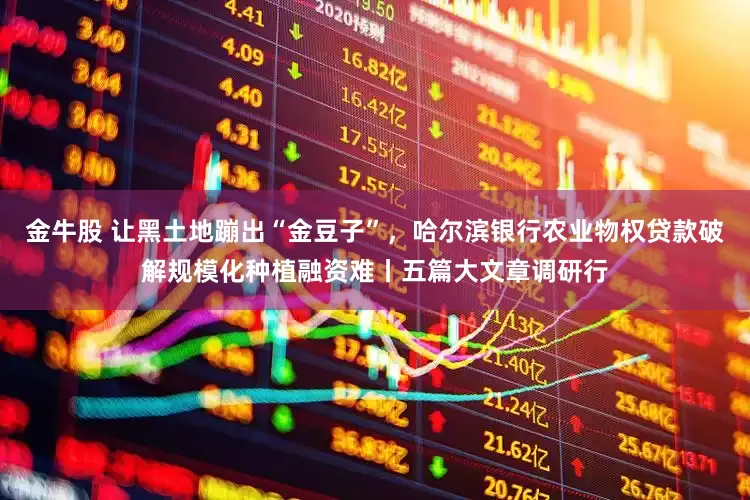 金牛股 让黑土地蹦出“金豆子”，哈尔滨银行农业物权贷款破解规模化种植融资难丨五篇大文章调研行