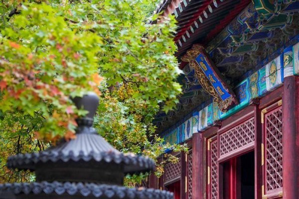 米配资 北京香山红叶节开幕 三条主题路线带您沉浸“香山秋日童话”