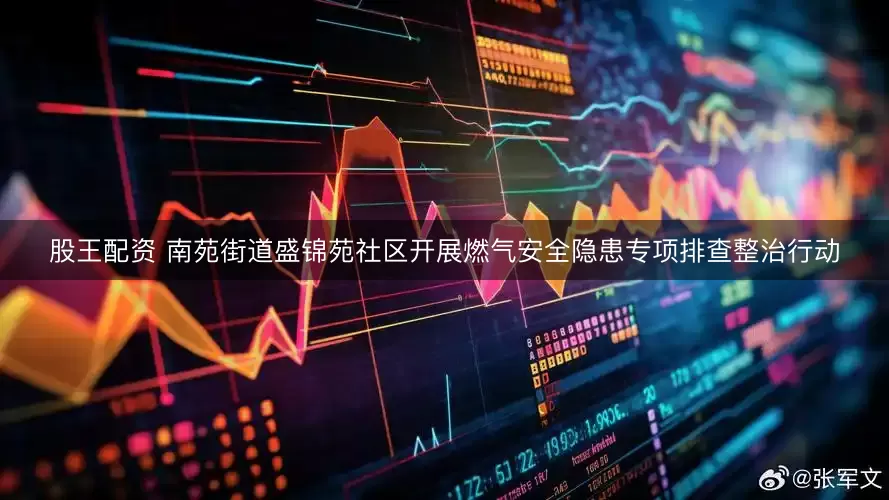 股王配资 南苑街道盛锦苑社区开展燃气安全隐患专项排查整治行动
